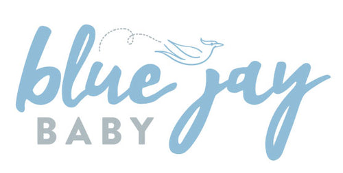 Blue Jay Baby